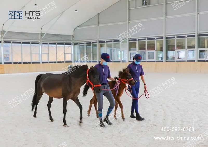 馬術館篷房高效統籌，打造校園馬術新地標